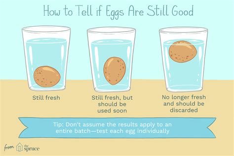 Apr 25, 2022 · It’s as easy as pouring a glass of water. You see, bad eggs float. It has to do with the way moisture evaporates through the shell as eggs age. As that moisture decreases, the air bubble inside the shell grows. One way to test this is to hold the egg to your ear and shake it: If you hear the egg sloshing around, that’s a bad sign. 